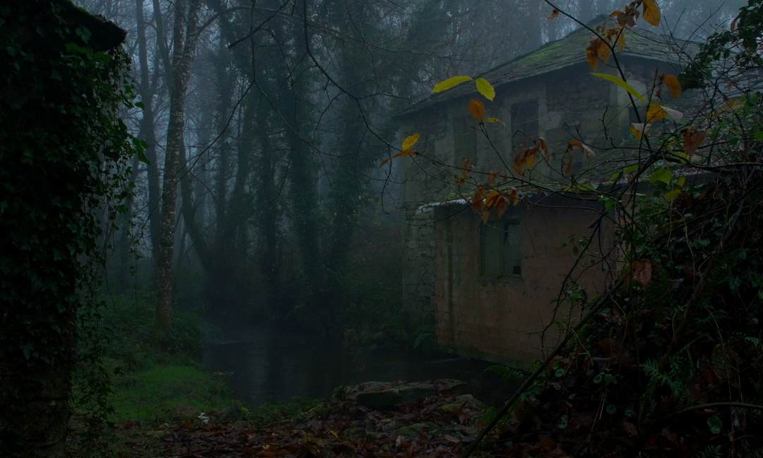 A SOMBRA DO CASTIÑEIRO (2024)