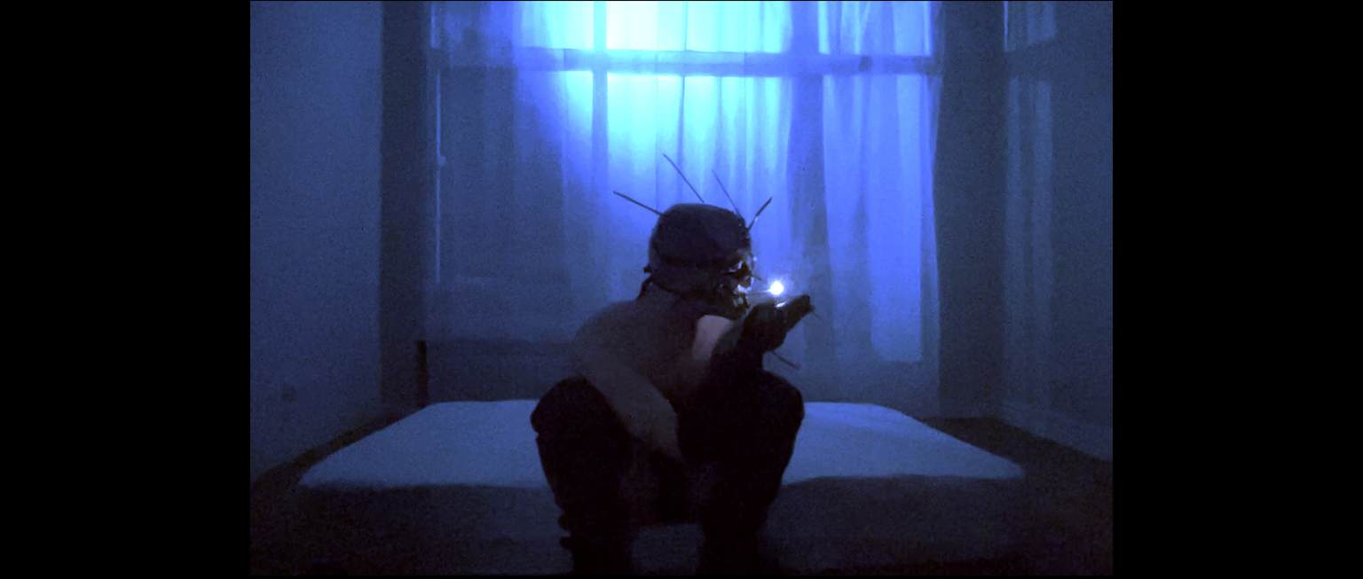 A SOMBRA DO CASTIÑEIRO (2024)